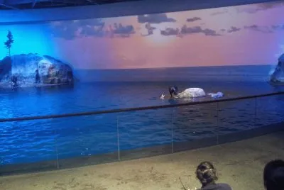 Acuario