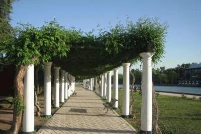 פאזל של En la Ciudad de Mendoza. Argentina