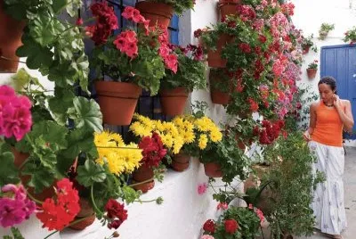 jardin