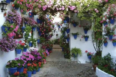 patio florido
