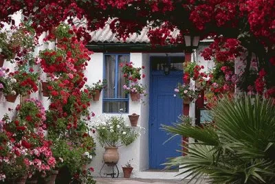 patio cordobÃ©s