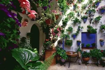 patio