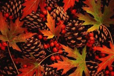 Canadian Fall