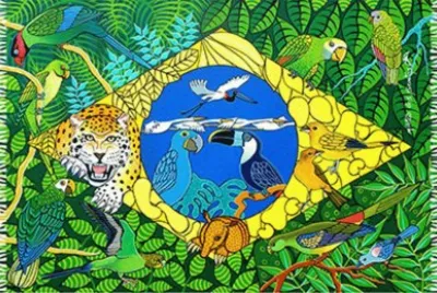pareo brasil