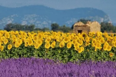 Natureza