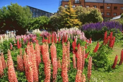Feliz DÃ­a de la Primavera. (En Ushuaia. Tierra del Fuego)
