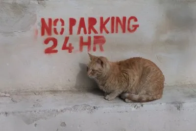 No parking