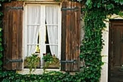 window