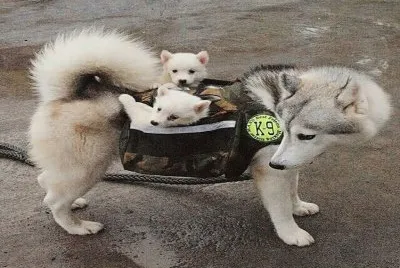 â™¥