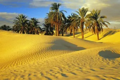 Desert