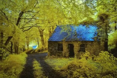 Natureza jigsaw puzzle