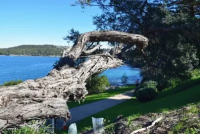 Fairlight. Australia