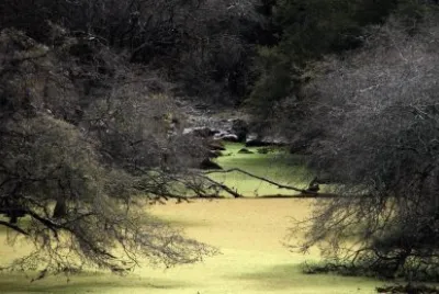 Villa La Punta. Santiago del Estero. Argentina