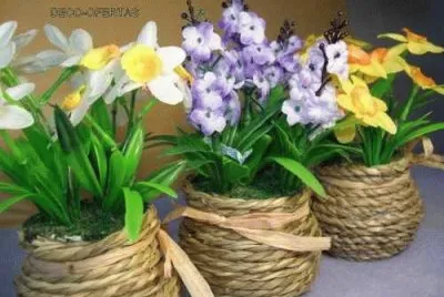 flores