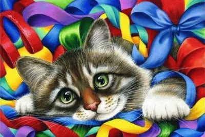 gato