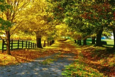 natureza4