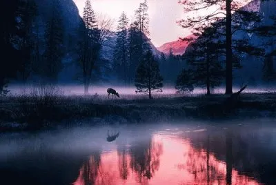 paisaje