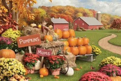 Pumpkins and Mums by Alan Giana