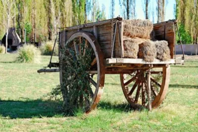 En Barreal. San Juan. Argentina jigsaw puzzle