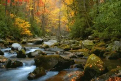 wallcoo.com_1920 jigsaw puzzle