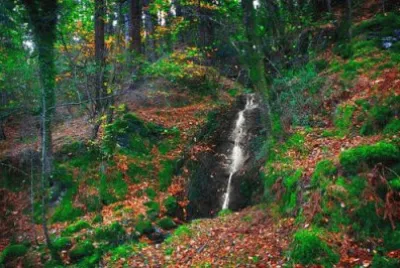 paisajes jigsaw puzzle