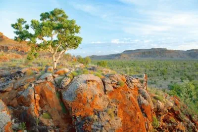 Natureza jigsaw puzzle