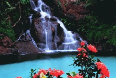 579 jigsaw puzzle