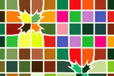 פאזל של draw