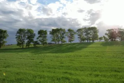En Agustina. Provincia de Buenos Aires. Argentina
