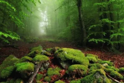 paisajes