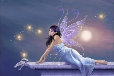 fantasia jigsaw puzzle