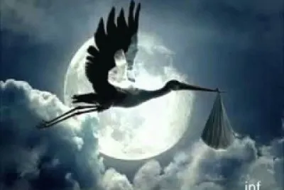 fantasia