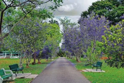 Natureza