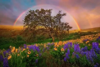 Natureza