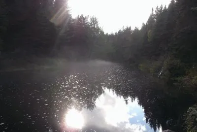 Dawn at the fishing hole