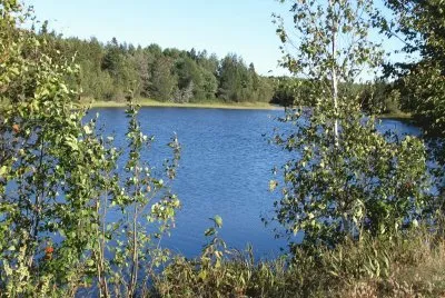 Beauty everywhere!