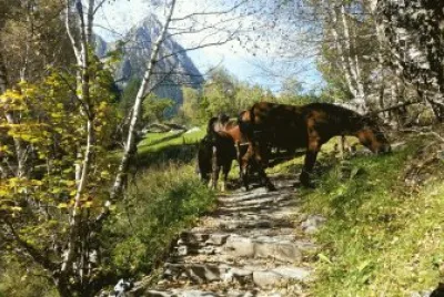 Pyrenees, Spain