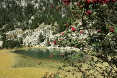 Pyrenees, Spain