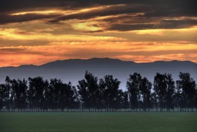 A la vera de la RN 9. Santiago del Estero. Argentina