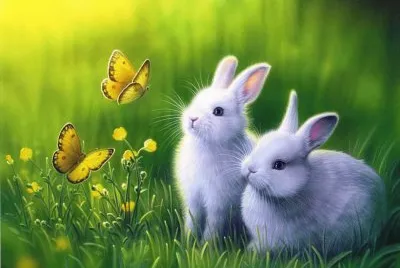 animais