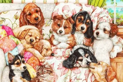 cÃ£ezinhos