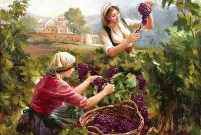 uvas