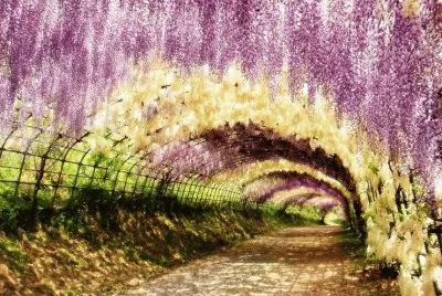 spring-101