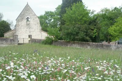 paysage champÃªtre avec Ã©glise la magdeleine
