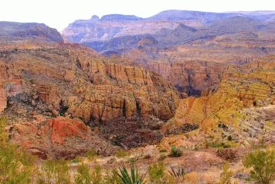Tonto National Forest
