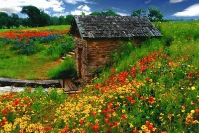 Natureza