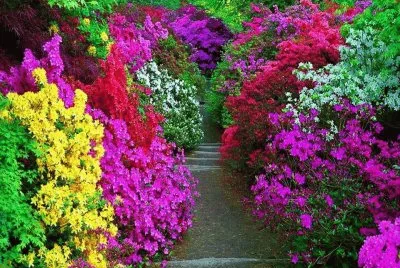 colores