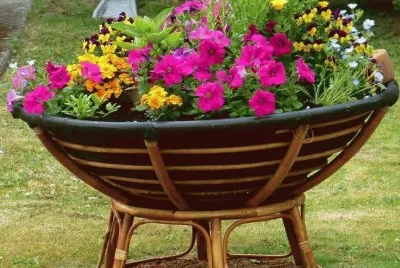jardin