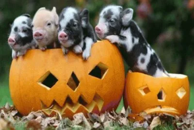 oct3