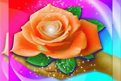 Colored Rose